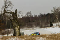 IMG 6224