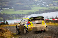 Grizedale Stages